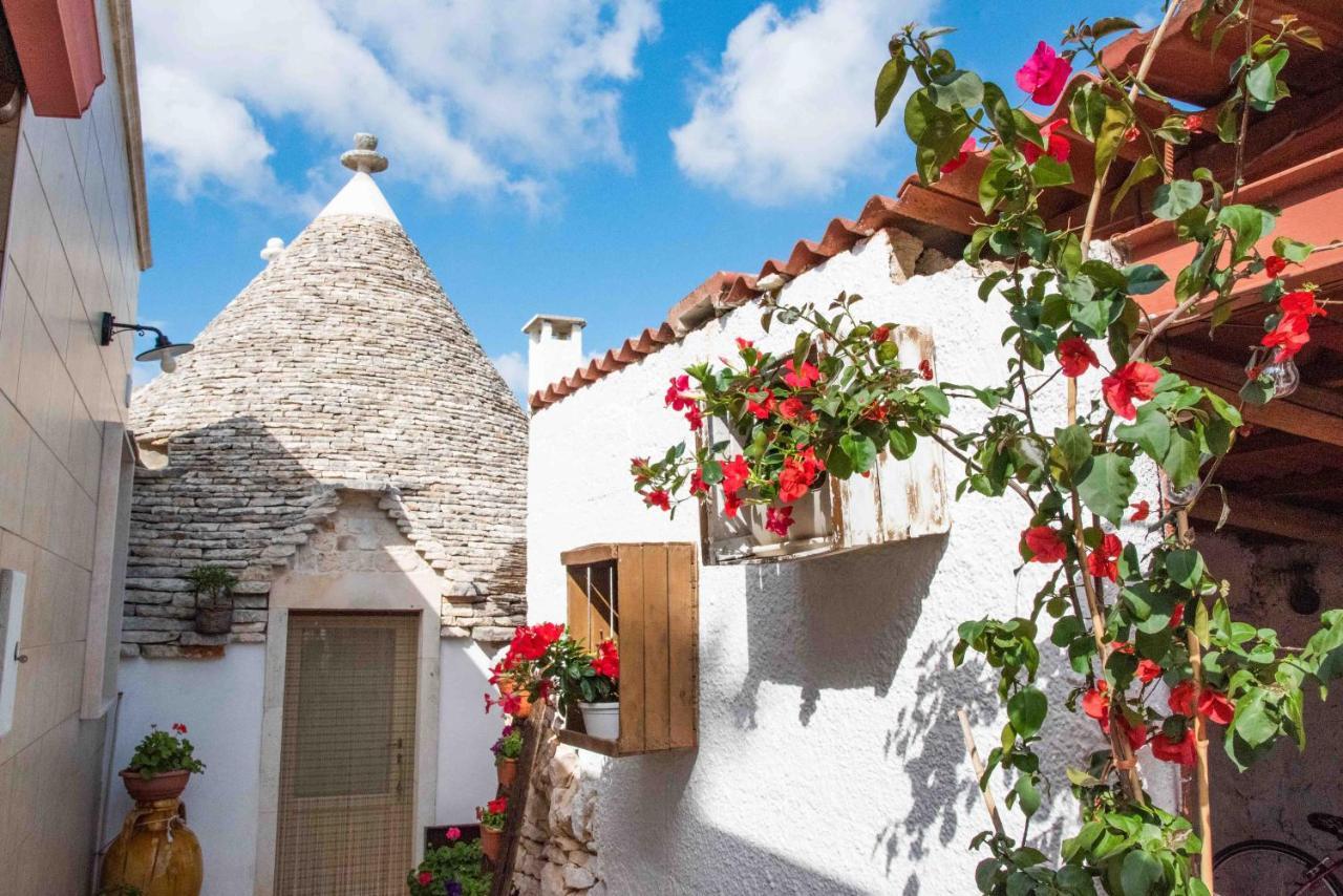 Sogni D'Oro Bed & Breakfast Alberobello Dış mekan fotoğraf